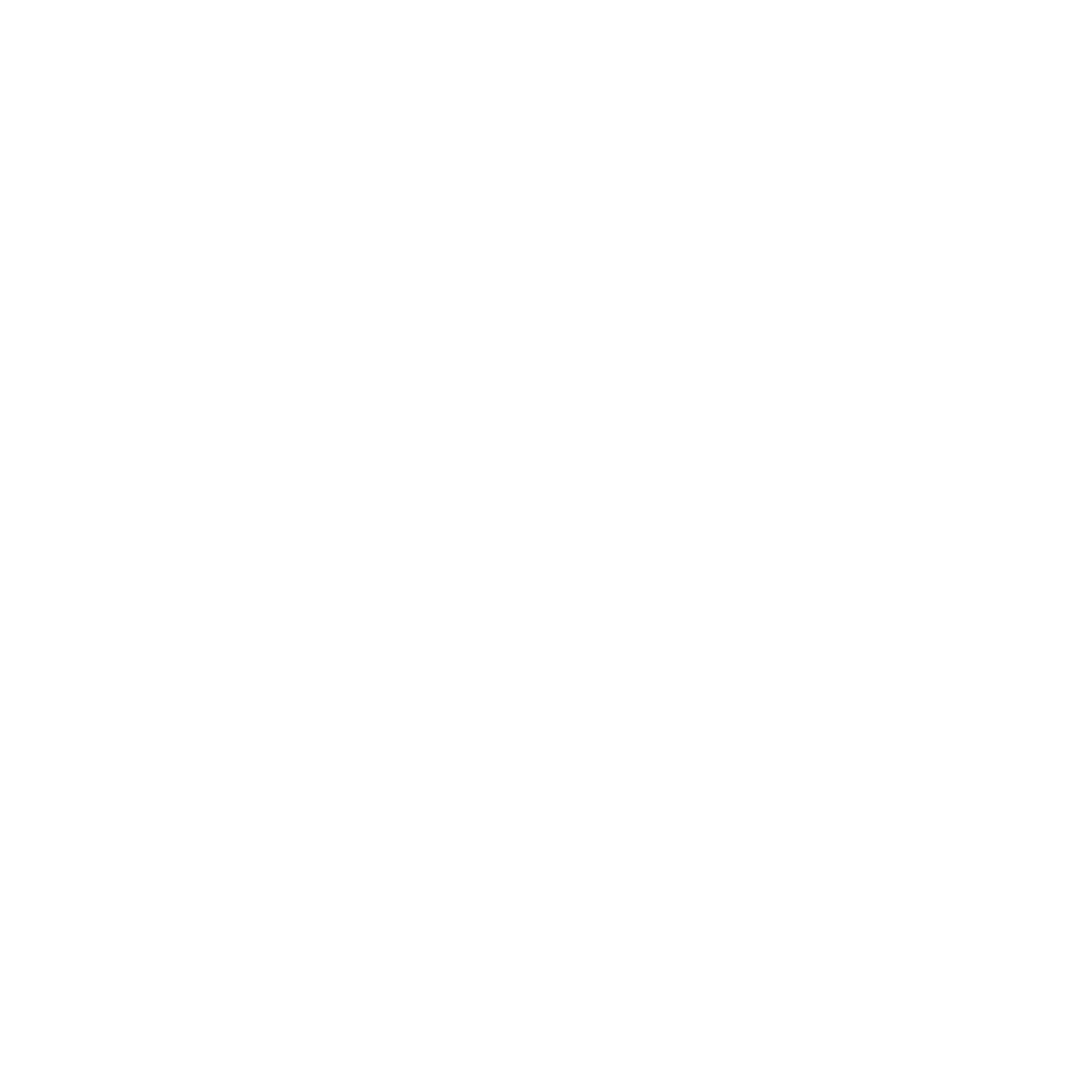 BRUNO BONA